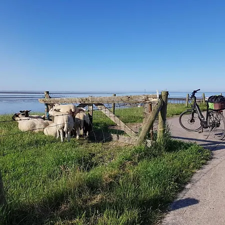 Direkt Am Binnensee Mit Eigenem Steg By Interhome *