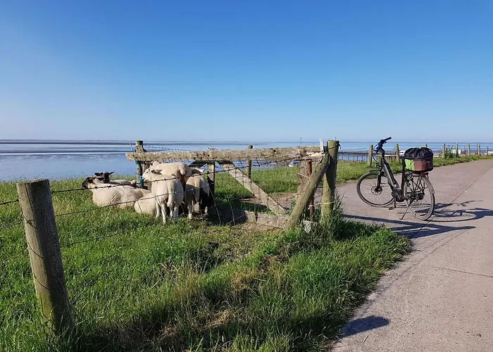 Direkt Am Binnensee Mit Eigenem Steg By Interhome *